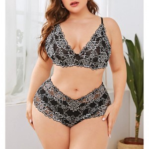 Conjunto de ropa interior de encaje de malla de dos tonos